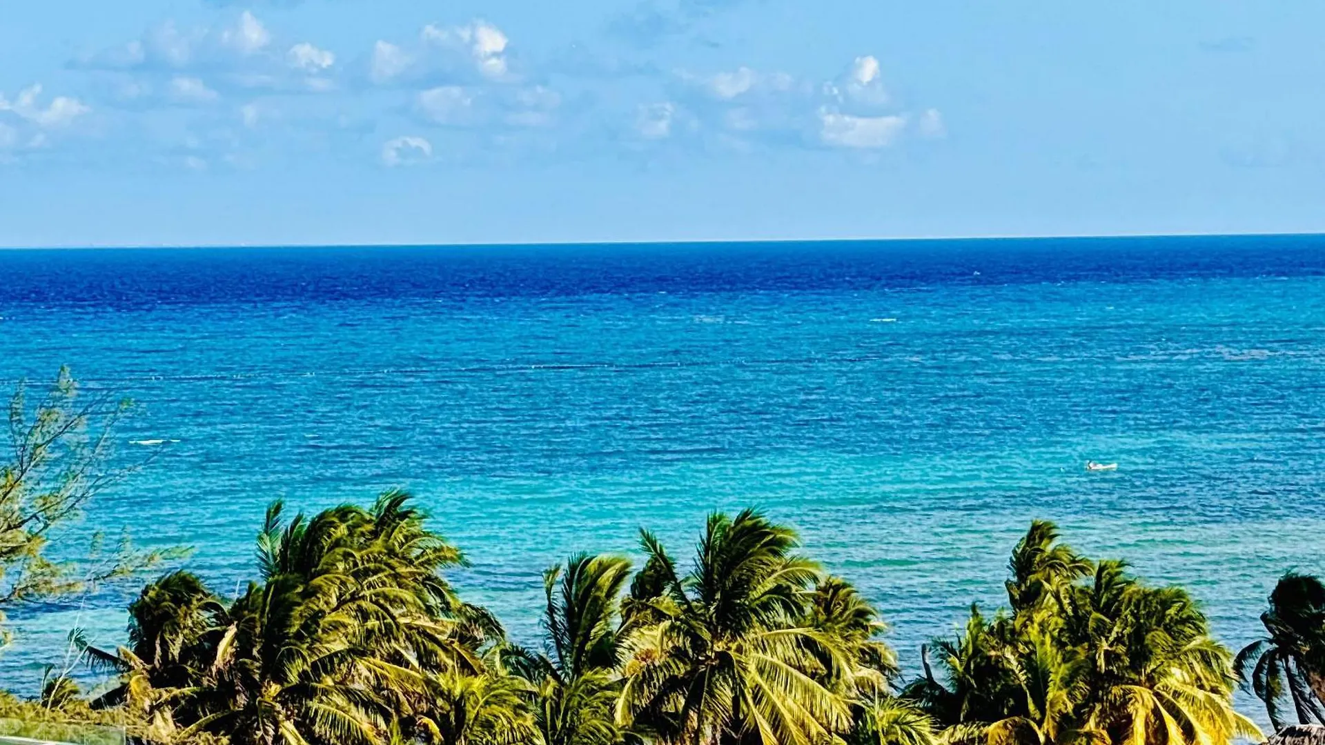 1 Block From The Ocean And 5Thav Villa Playa del Carmen